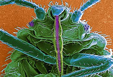 第一人称跑酷游戏《Hirilun》今日发售 支持简体中文